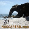 san_juan_marcona_elefante