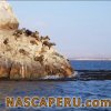 san_juan_marcona_ensenada
