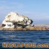san_juan_marcona_ensenada_san_juan