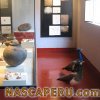 museo_didactico_antonini_5