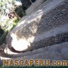 museo_didactico_antonini_6