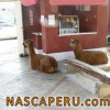 museo_maria_reiche_01