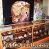 museo_maria_reiche_07