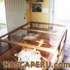 museo_maria_reiche_08