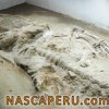 sacaco_ballenas