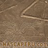 Lineas de Nasca - Araña
