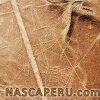 lineas_de_nasca_ballena