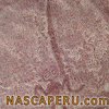 lineas_de_nasca_deidad