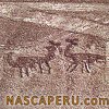 lineas_de_nasca_llamas