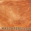 lineas_de_nasca_manos