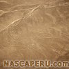lineas_de_nasca_mono