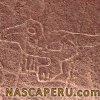 lineas_de_nasca_pato