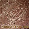 lineas_de_nasca_pez_gato