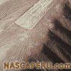 lineas_de_palpa_04