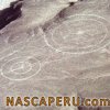 lineas_de_palpa_07