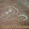 lineas_de_palpa_08