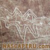 lineas_de_palpa_10