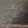 lineas_de_palpa_13