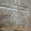 lineas_de_palpa_14