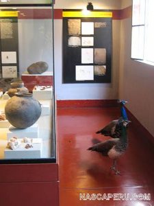 Museo didáctico Antonini